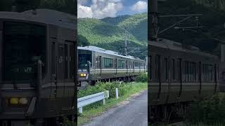 223系 Local Train 福知山線を走行の様子です。JR WEST JAPAN [upl. by Nessim]