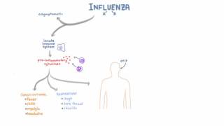 Influenza Infection  Clinical Symptoms and Presentation [upl. by Haela]