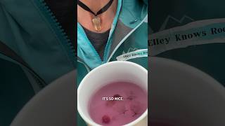 Greenlandic tea was not expected Geology Travel Greenland DIY tea OptOutside ￼￼ ￼ [upl. by Landry259]