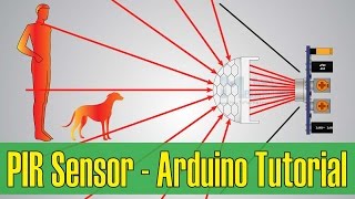 How PIR Sensor Works and How To Use It with Arduino [upl. by Boni862]