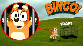 I CAPTURED BINGO FROM BLUEY IN REAL LIFE CURSED BINGO [upl. by Angelo774]