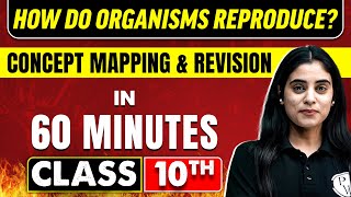 HOW DO ORGANISMS REPRODUCE in 60 Minutes  Science Chapter 8  Class 10th CBSE Board [upl. by Ecnarolf963]