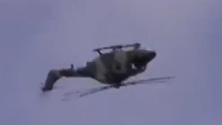 British Lynx do the craziest maneuvers youve ever seen [upl. by Nedarb]