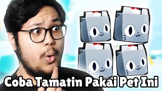 AKU PAKE 4 HUGE EXCLUSIVE UNTUK TAMATIN PET SIMULATOR X [upl. by Avika314]