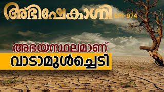 അഭയസ്ഥലമാണ് വാടാമുൾച്ചെടി  ABHISHEKAGNI  EPISODE  974 [upl. by Jackie233]