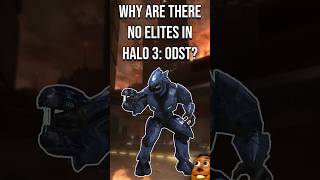 Why Were There No Elites in Halo 3 ODST  Halo Lore [upl. by Buell738]