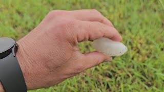 Captan granizo grande tras el paso de tormentas severas en partes del norte de Texas [upl. by Erastatus]