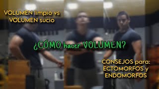 VOLUMEN bulking  ¿QUÉ ES ¿COMO SE HACE [upl. by Nollie]