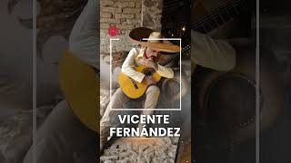 A Pesar de Todo  VICENTE FERNANDEZ  VICENTE FERNANDEZ SUS MEJORES EXITOS [upl. by Thibault260]