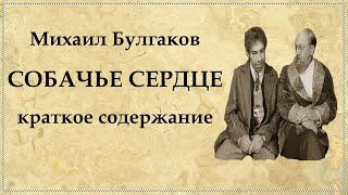 Собачье сердце краткое содержание по главам [upl. by Ydor]