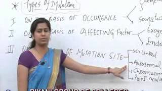 MutationBSc Biotechnology lecture by Madhuri Sharma [upl. by Mozart929]