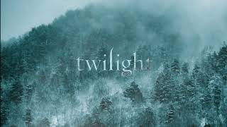 a nostalgic twilight comfort playlist instrumentals  rain ambience [upl. by Eiramaneet437]