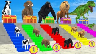 6 dengerous animalsdreggen tiger elephantdog cow3d animation video cartoon video 😍😍 [upl. by Wandie]