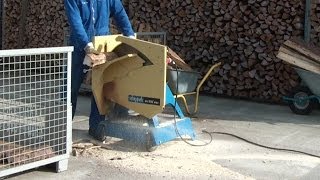 Wippsäge Brennholzsäge Scheppach WOX 600 im Einsatz firewood saw in action [upl. by Ahtiekal]