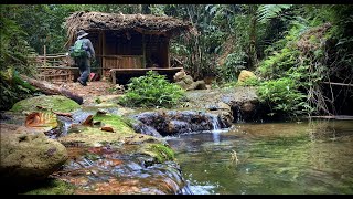 survival in the wilderness  Return to my first survival shelter  bushcraft survivalshelter [upl. by Nosmas384]