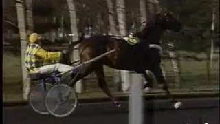 Ourasi Prix de Paris [upl. by Lirret]