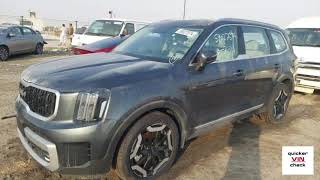 Kia Telluride 2023  VIN 5XXP381C6PG406631 [upl. by Nalahs38]