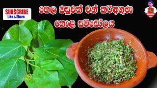 Kiri Aguna kola Sambol ගුණදායක කිරිඅගුන කොළ සම්බෝලය [upl. by Lesirg]