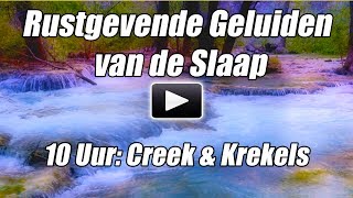 Slaap Geluiden Ontspannen 10 Uur Diep Slapen Rustgevende Natuur bos Stream Krekels Sfeer Kalm Water [upl. by Robbert]