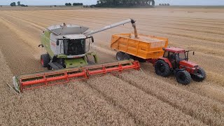 Westerhof harvesting wheat [upl. by Anahgem]