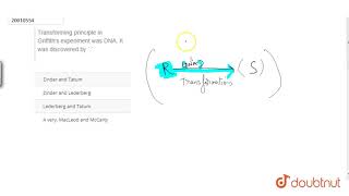 Transforming principle in Griffiths experiment was DNA It was discovered by [upl. by Novej]