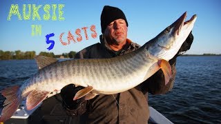 Green Bay Muskie Fishing BIG MUSKIE in 5 CASTS [upl. by Gnud]