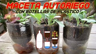 Maceta Autorriego  Riego Automático  Reciclar botella de Plástico PET  Cultivo Paso a Paso [upl. by Walls555]