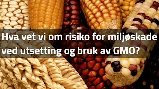 Hva vet vi om risiko for miljøskade ved utsetting og bruk av GMO [upl. by Leamsi]