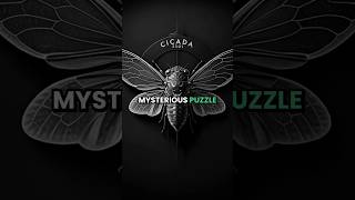 The Mystery of Cicada 3301 [upl. by Freudberg]