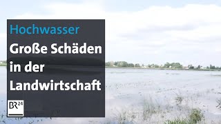 Hochwasser richtet große Schäden in der Landwirtschaft an  BR24 [upl. by Cunningham]