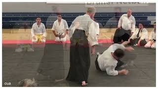 Aikido Kaiten nage [upl. by Marcus]