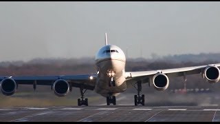 Airbus A340600 Departure at Düsseldorf  Etihad Airways HD [upl. by Wagner]