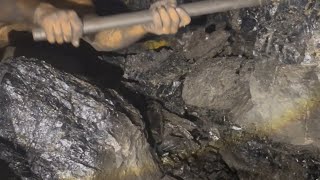 What Coal Miners Dont Want You To Know shorts shortvideo [upl. by Kyte601]