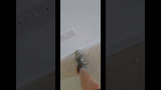 Skirting tips and tricks construction diy carpentry funny tipsandtricks tips skills [upl. by Neemsaj659]