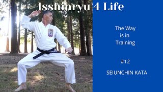 SEIUNCHIN KATA [upl. by Mathias701]