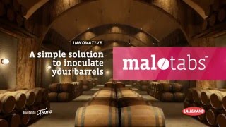 MALOTABS™  tablets for malolactic fermentation in barrels [upl. by Amalbena943]