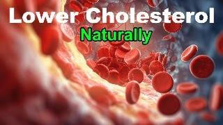 Lower Cholesterol Reduce the Bad LDL and Boost the Good HDL [upl. by Latoyia]