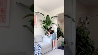 Bird Of Paradise Care  Calming Watering Plants ASMR  Tropical Plant Care ShowerYourPlants [upl. by Hterrag]