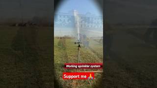 Sprinkler system irrigation sprinklerirrigation sprinkler agriculture shorts viralvideo [upl. by Yarled]