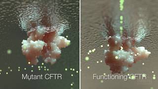 Cystic Fibrosis Mechanism and Treatment  HHMI BioInteractive Video [upl. by Bamby875]