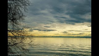 Endlich Frühling  Insel Mainau Frühlingserwachen in 4K  2018 [upl. by Ydissac]