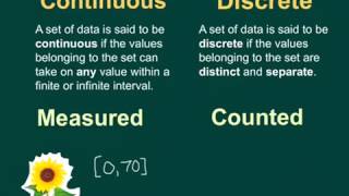 Continuous Vs Discrete Data [upl. by Ahsienod436]