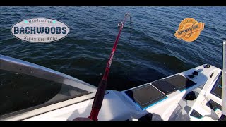 Backwoods Baitcaster parabolic test for trophy catfish [upl. by Ecinuahs]