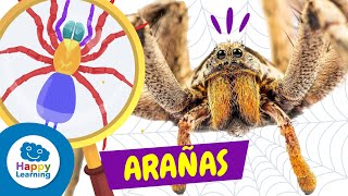 COSAS QUE NO SABÍAS SOBRE LAS ARAÑAS 🕷️🕸️ Animales Para Niños  Happy Learning arañas animales [upl. by Ahseyk]