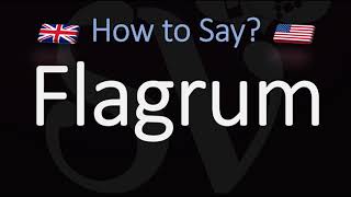 How to Pronounce Flagrum CORRECTLY Meaning amp Pronunciation [upl. by Ylloj]