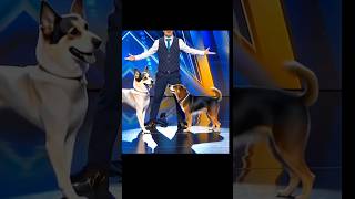 Americas Got Talent Dogs Magic😱😨  Duo SchumacherAGTamericagottalentmagic [upl. by Nonac737]