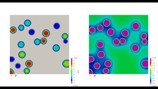 Multivariant DiffusionControlled Precipitate Evolution Phase Field Model [upl. by Neeruan]