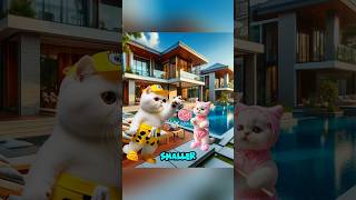 Cute Cat fighting over lollipop 🍭😹 cat cutecat catlover cute [upl. by Glaser]