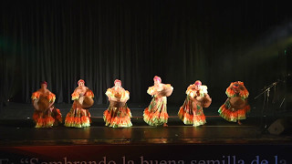 MARIMBA Y BOMBA DEL CHOTA  GRUPO DE DANZA AYLLUSISARI [upl. by Ahusoj]