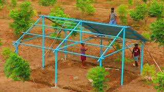 Real Quick Building of Shed with SheetMetal for Roof  Making Shed for Cow Cattle amp Goats in 3 days [upl. by Anihsat]